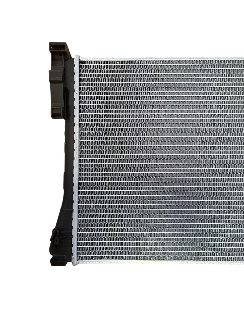 WhatsApp Image 2025-02-27 at 16.44.23