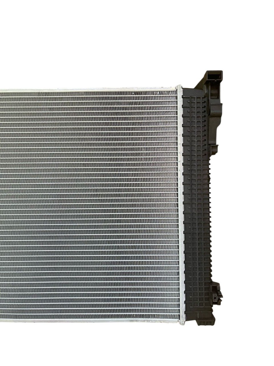 WhatsApp Image 2025-02-27 at 16.44.25