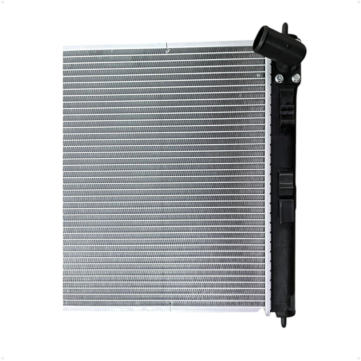 WhatsApp Image 2025-06-06 at 11.30.04