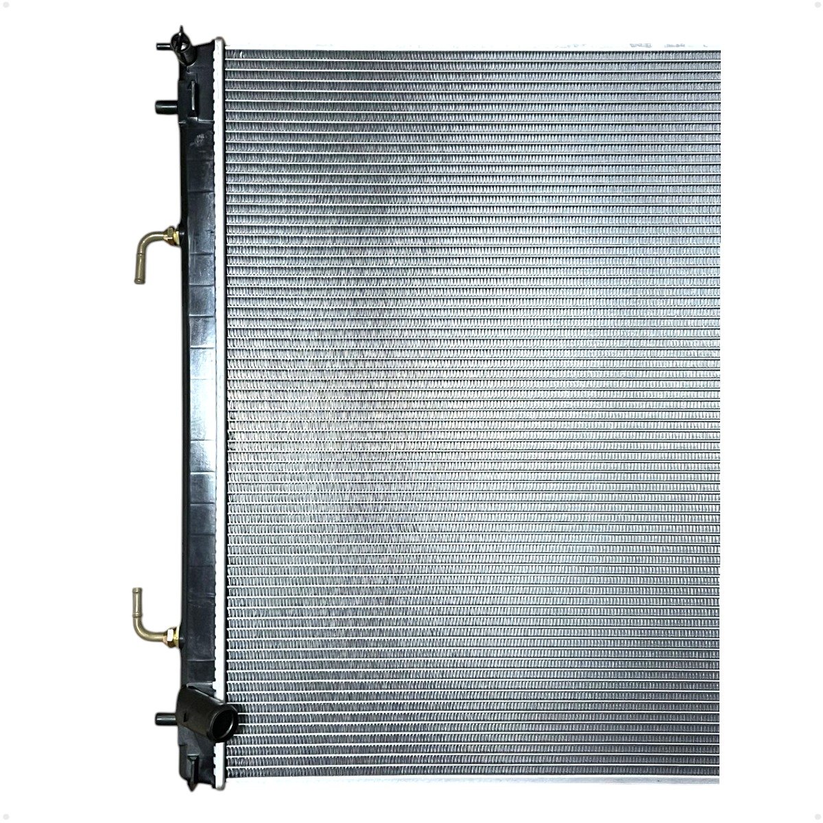 WhatsApp Image 2025-06-11 at 08.46.08 (1)