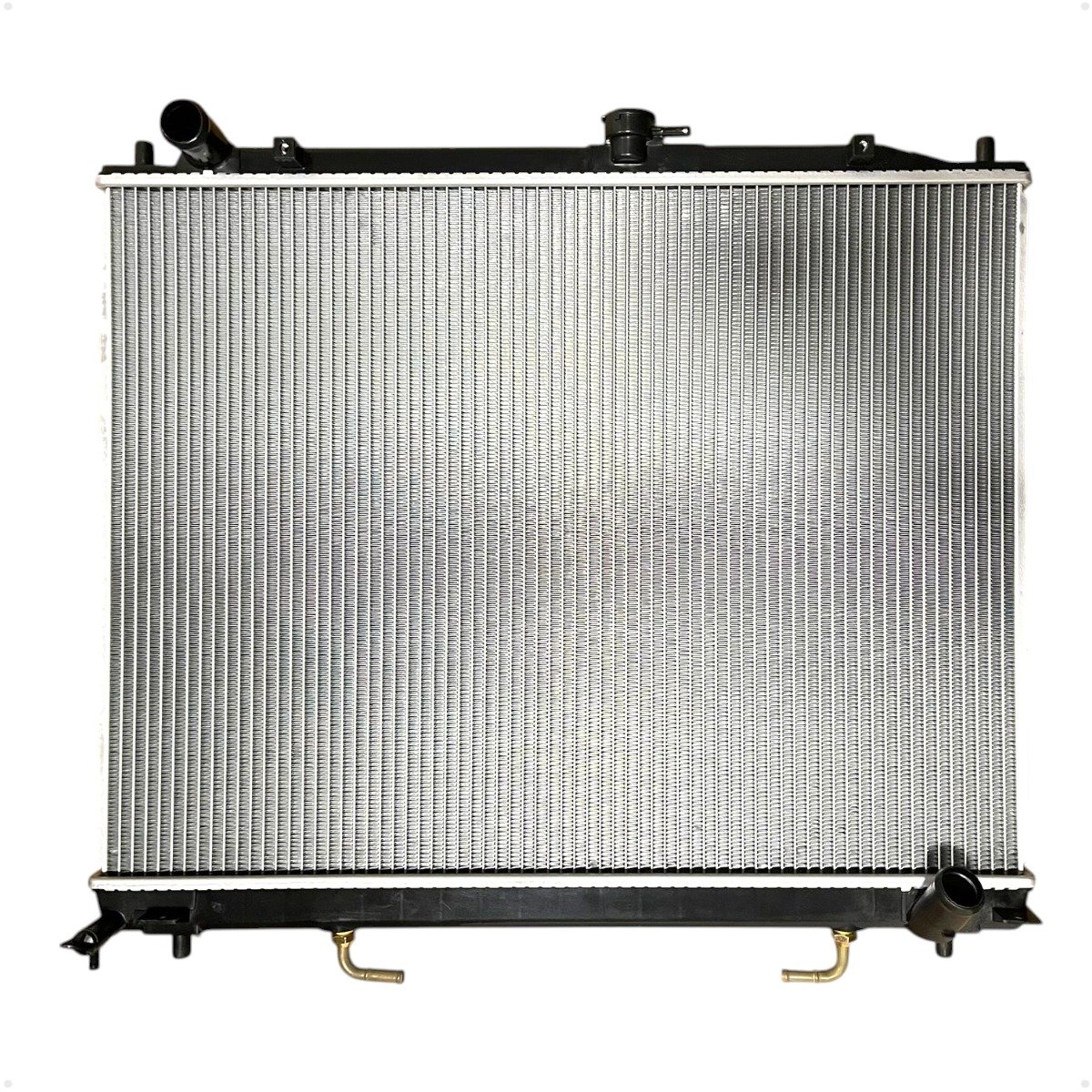 WhatsApp Image 2025-06-11 at 08.46.08 (2)