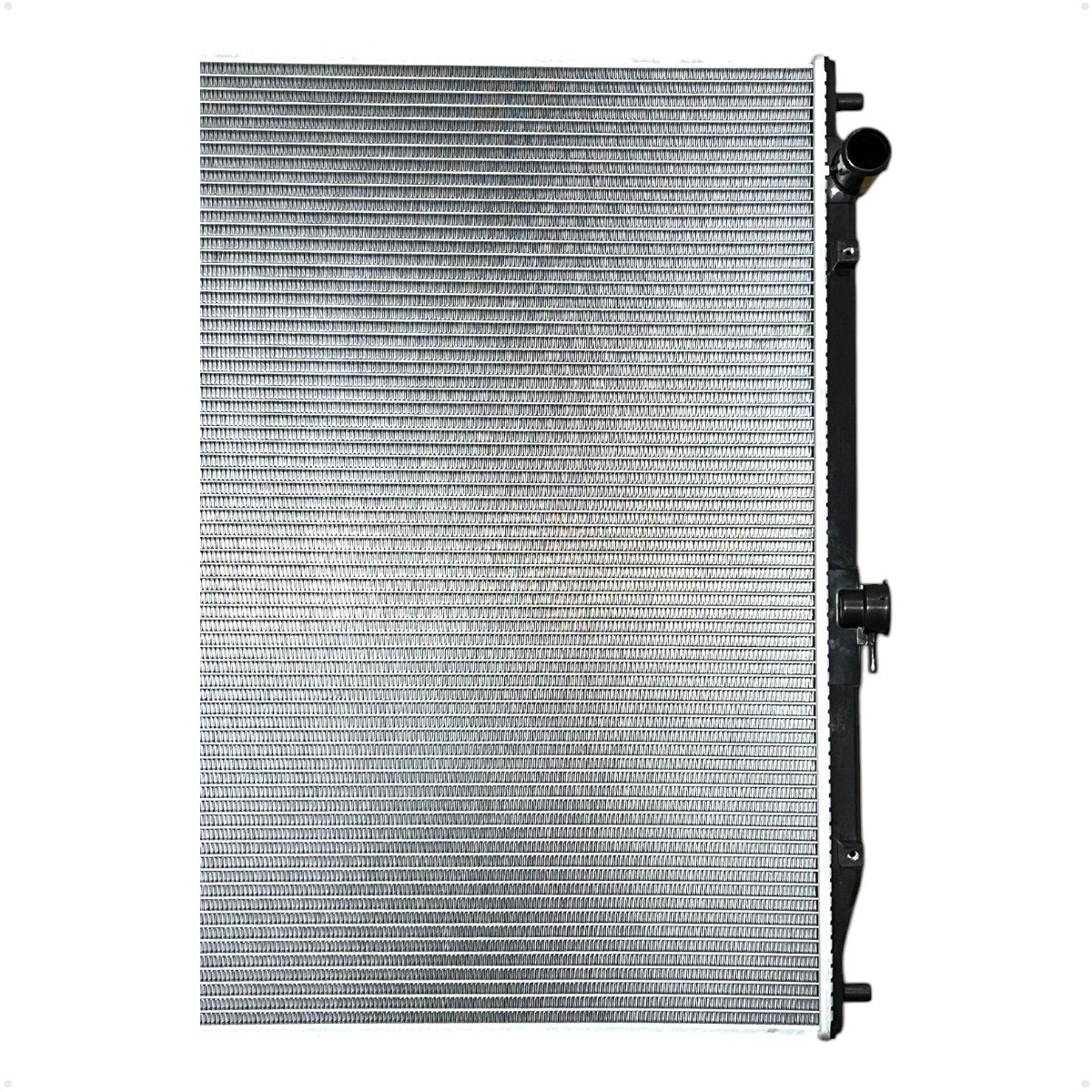 WhatsApp Image 2025-06-11 at 08.46.09