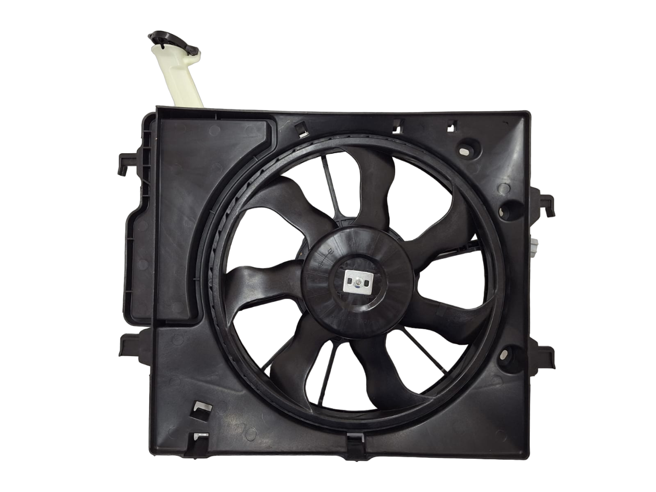 image-PhotoRoom.png-PhotoRoom