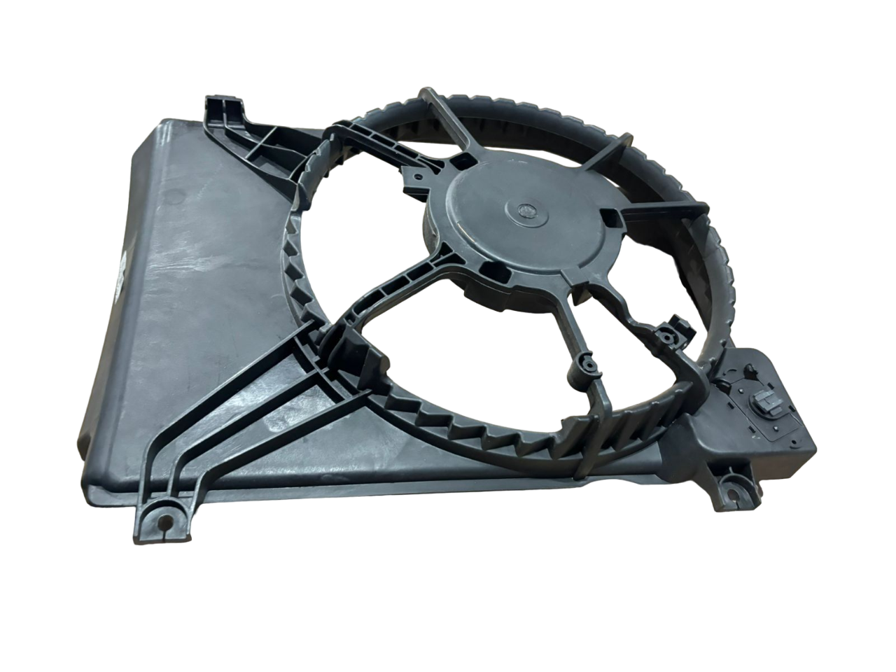 image-Photoroom.png-Photoroom (5)