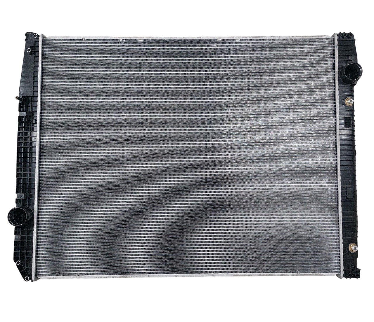 WhatsApp Image 2025-03-24 at 14.31.30