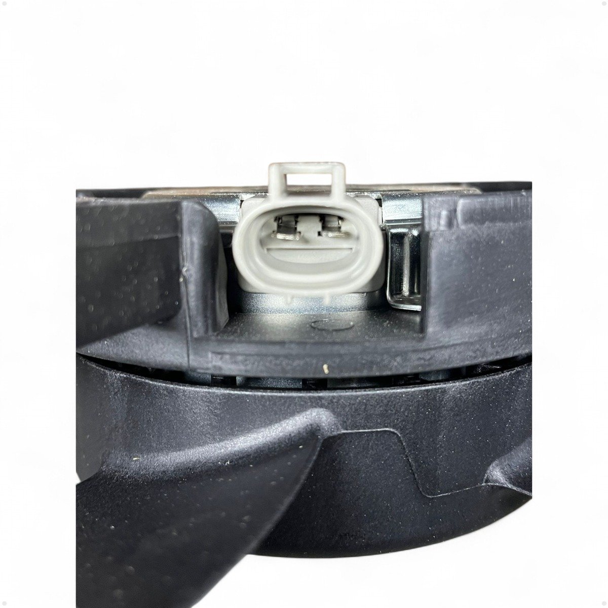 WhatsApp Image 2025-06-06 at 11.47.30