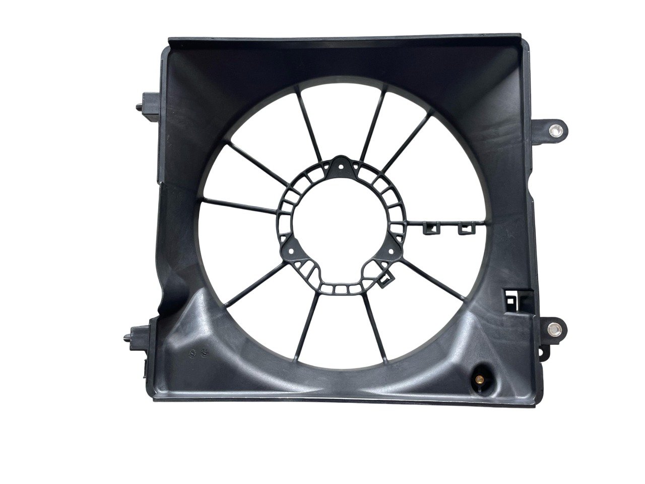 WhatsApp Image 2025-02-25 at 11.28.57 (3)