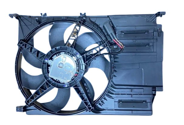 22509-removebg-preview