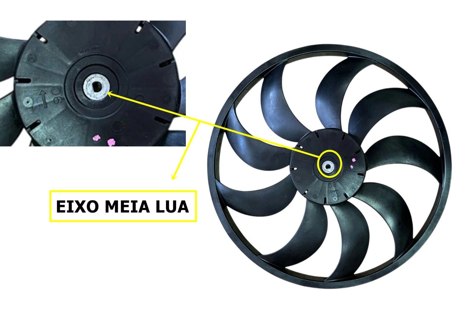 WhatsApp Image 2025-03-19 at 18.01.42